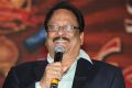 Krishnam Raju @ Santosham 11th Anniversary Awards 2013 Function Stills