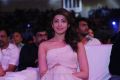 Pranitha Subhash @ Santosham South Indian Film Awards 2016 Photos