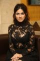 Actress Sapna Pabbi Stills @ Tholi Prema Success Meet