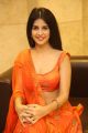 Actress Kashish Vohra @ Sapthagiri LLB Movie Pre Release Photos