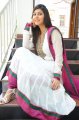 Disco Heroine Sara Sharma Cute Stills