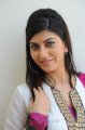 Disco Heroine Sara Sharma Cute Stills