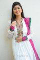 Cute Sara Sharma at Disco Press Meet