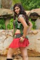 Sara Sharma Latest Stills