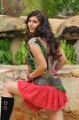 Disco Telugu Movie Heroine Sara Sharma Hot Pics