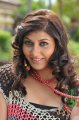 Sara Sharma Latest Stills