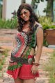 Disco Movie Actress Sara Sharma Latest Pics