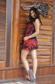 Sara Sharma Latest Stills