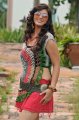 Disco Telugu Movie Heroine Sara Sharma Hot Pics