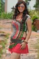 Telugu Heroine Sara Sharma Latest Stills