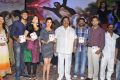 Saradaga Ammaitho Audio Release Photos