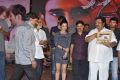 Saradaga Ammayilatho Audio Release Photos