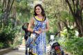 Actress Nisha Agarwal in Saradaga Ammaitho Telugu Movie Stills