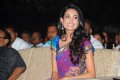 Sarah Jane Dias Saree Stills