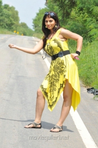 Sarah Sharma Hot Pics in Yellow Frocks