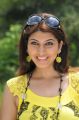 Telugu Heroine Sarah Sharma Cute Smile Pictures