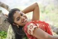 Actress Sri Priyanga in Saranalayam Tamil Movie Stills