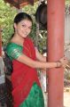 Saranya Mohan in Half Saree Photos