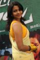 Saranya Nag Hot Photos in Transparent Yellow Saree