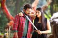 Udhayanidhi Stalin, Regina Cassandra in Saravanan Irukka Bayamaen Movie Stills