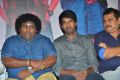 Yogi Babu, Soori, Ezhil @ Saravanan Irukka Bayamaen Success Meet Photos