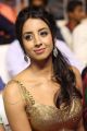 Sanjjanaa @ Sardaar Gabbar Singh Audio Release Photos