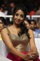 Sanjjanaa @ Sardaar Gabbar Singh Audio Release Photos