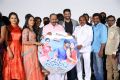 Sarovaram Audio Launch Photos