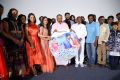 Sarovaram Audio Launch Photos