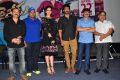 Sarrainodu Release Date Announcement Press Meet Stills