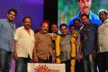 Sarrainodu Success Celebrations at SIHMCT Grounds, Vijayawada