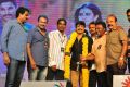 Sarrainodu Success Celebrations at SIHMCT Grounds, Vijayawada