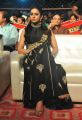 Rakul Preet Singh @ Sarrainodu Success Celebrations in Vijayawada Photos