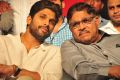 Sarrainodu Success Celebrations at SIHMCT Grounds, Vijayawada