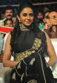 Rakul Preet Singh @ Sarrainodu Success Celebrations in Vijayawada Photos