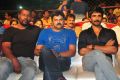 Sarrainodu Success Celebrations at SIHMCT Grounds, Vijayawada