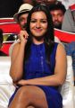 Catherine Tresa @ Sarrainodu Success Celebrations in Vijayawada Photos