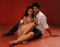 Sasesham Movie Hot Photo Shoot Stills