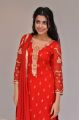 Telugu Actress Sasha Singh Pics in Red Churidar