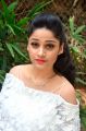 Divya Nandini @ Sashi Vangapalli Cannes Red Carpet 2017 Success Meet Stills