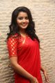 Actress Anupama Parameswaran @ Sathamanam Bhavati Success Meet Stills