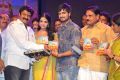 Sathee Thimmamamba Audio Launch Stills