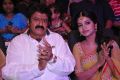 Sathee Thimmamamba Audio Launch Stills