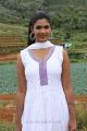 Tamil Actress Twinkle in Sathiram Perundhu Nilayam Movie Photos