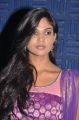 Tamil Actress Twinkle at Sathiram Perundhu Nilaiyam Audio Launch Stills