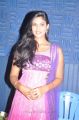 Actress Twinkle at Chathiram Perundhu Nilayam Movie Audio Launch Stills