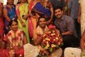 Vijay Antony @ Sathish - Sindhu Marriage Photos