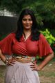 Varalakshmi Sarathkumar @ Sathya Movie Success Meet Photos