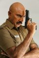 Actor Sathyaraj Photos in Poojai Tamil Movie