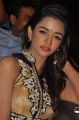 Actress Anaika Soti @ Satya 2 Movie Audio Launch Photos